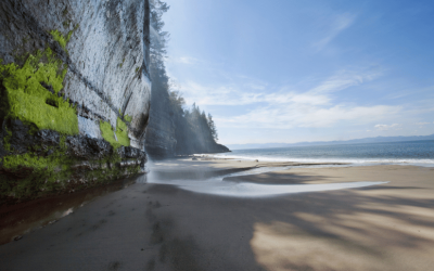 Top 5 Beaches Near Sooke